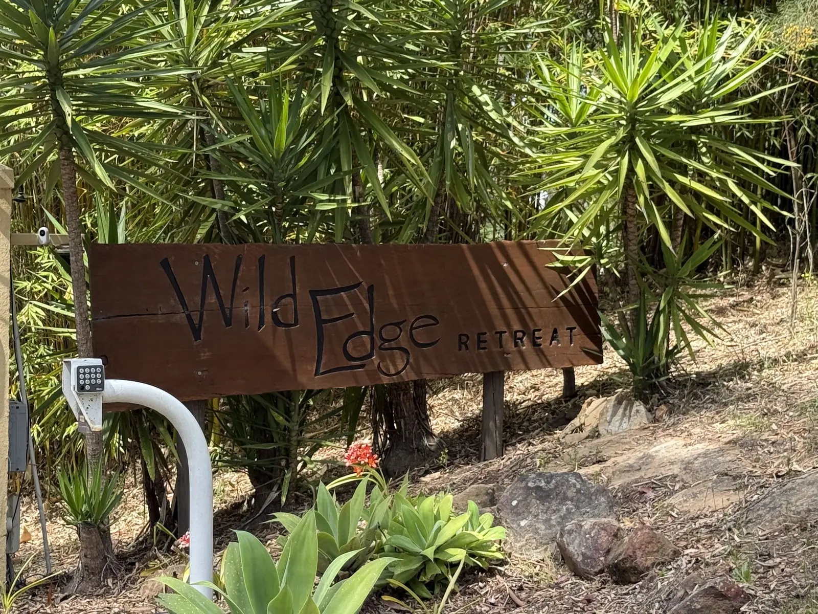 Hand-painted Wild Edge Retreat sign among dragon trees at the private entrance